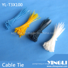 Abraçadeira de nylon amplamente utilizada em 100 mm (YL-T3X100)